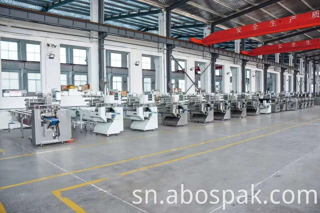 Fully Automatic 200g/500g Spaghetti/Stick Noodle Weighing Plastic Bag Packaging Machine